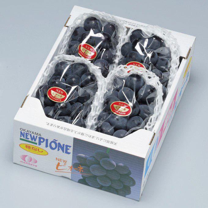 岡山県産 ニューピオーネ4箱 1房約600g ぶどう ニューピオーネ 優品 3〜6房 1.5kg 岡山県産 JA