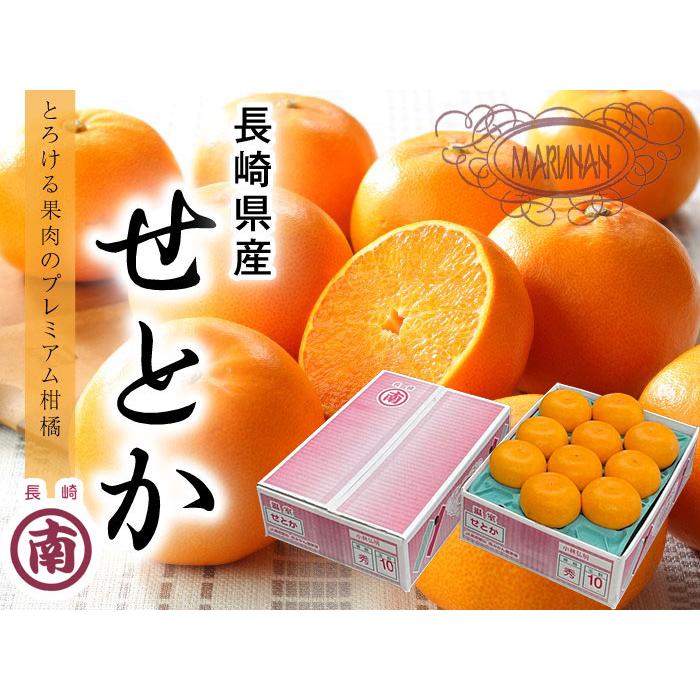 せとか 長崎県産 風のいたずら ちょっと訳あり 大きさおまかせ 2.5kg みかん｜hachiya-fruits｜05