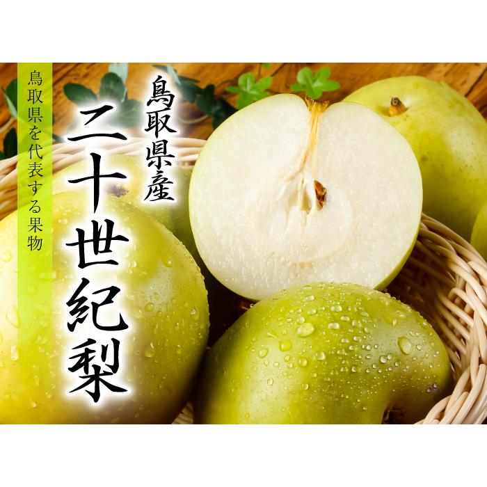 梨 20世紀梨 青秀 4l 3lサイズ 12 14玉 約5kg 鳥取県産 ｊａ鳥取中央 なし ナシ Nsn02 はちやフルーツ 通販 Yahoo ショッピング
