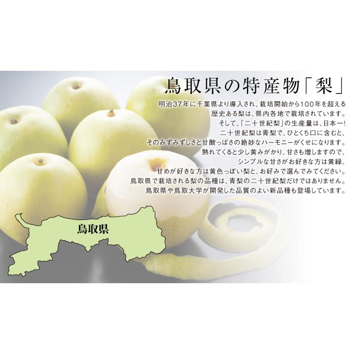 梨 20世紀梨 ちょっと訳あり 大きさお任せ 約5kg 鳥取県産 ｊａ鳥取中央 なし ナシ Nsn12 はちやフルーツ 通販 Yahoo ショッピング