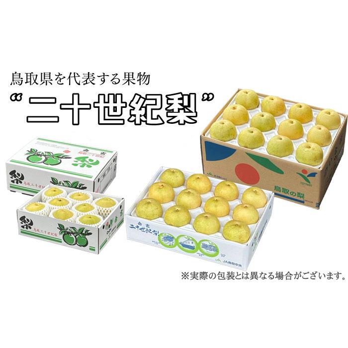 梨 20世紀梨 青秀 5〜9玉 2kg 鳥取県産 なし ナシ ギフト お取り寄せ