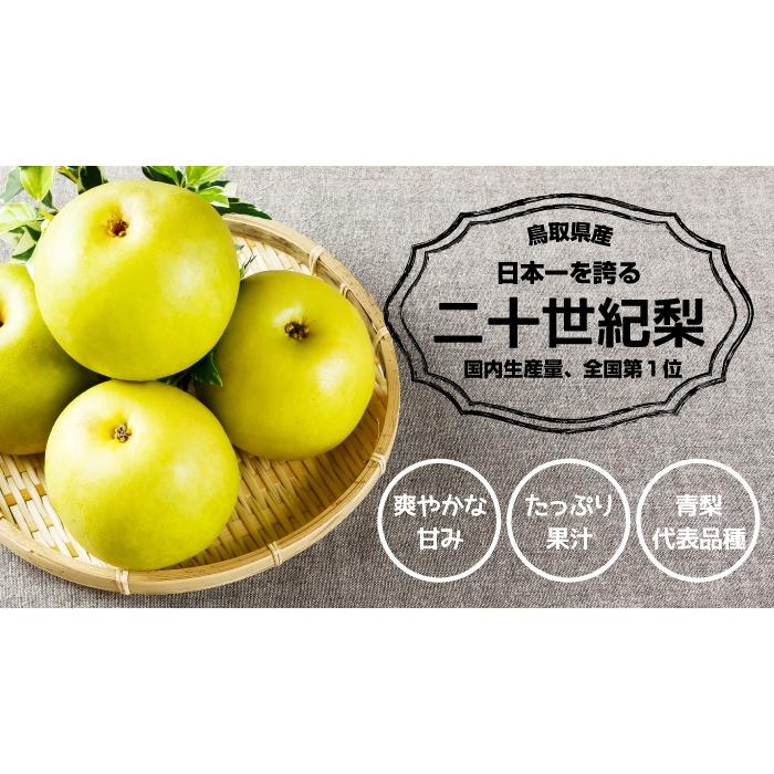 梨 20世紀梨 青秀 5〜9玉 2kg 鳥取県産 なし ナシ ギフト お