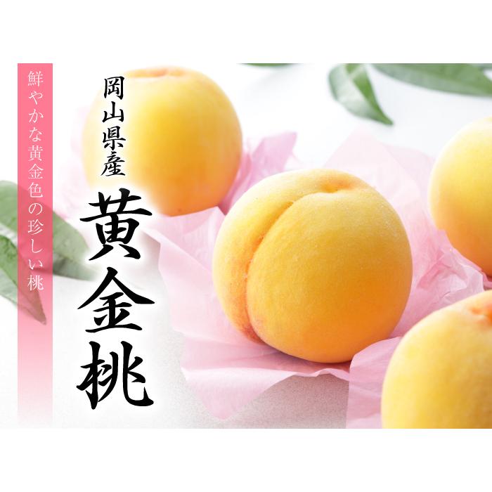 桃 黄金桃 エース 4〜6玉 1kg 岡山県産 JAおかやま もも モモ : はちや