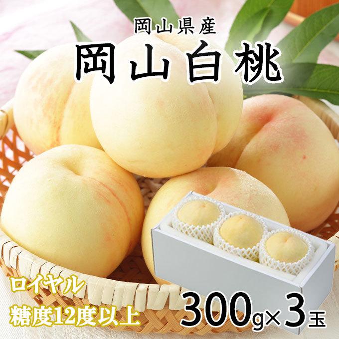 お中元 桃 岡山白桃 ロイヤル 3Lサイズ 300g×3玉 岡山県産 JA