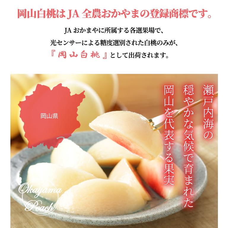 お中元 桃 岡山白桃 ロイヤル 3Lサイズ 300g×3玉 岡山県産 JA