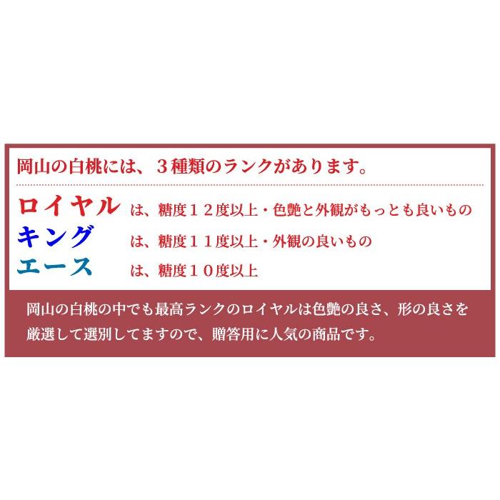 お中元 桃 岡山白桃 ロイヤル 3Lサイズ 300g×3玉 岡山県産 JA