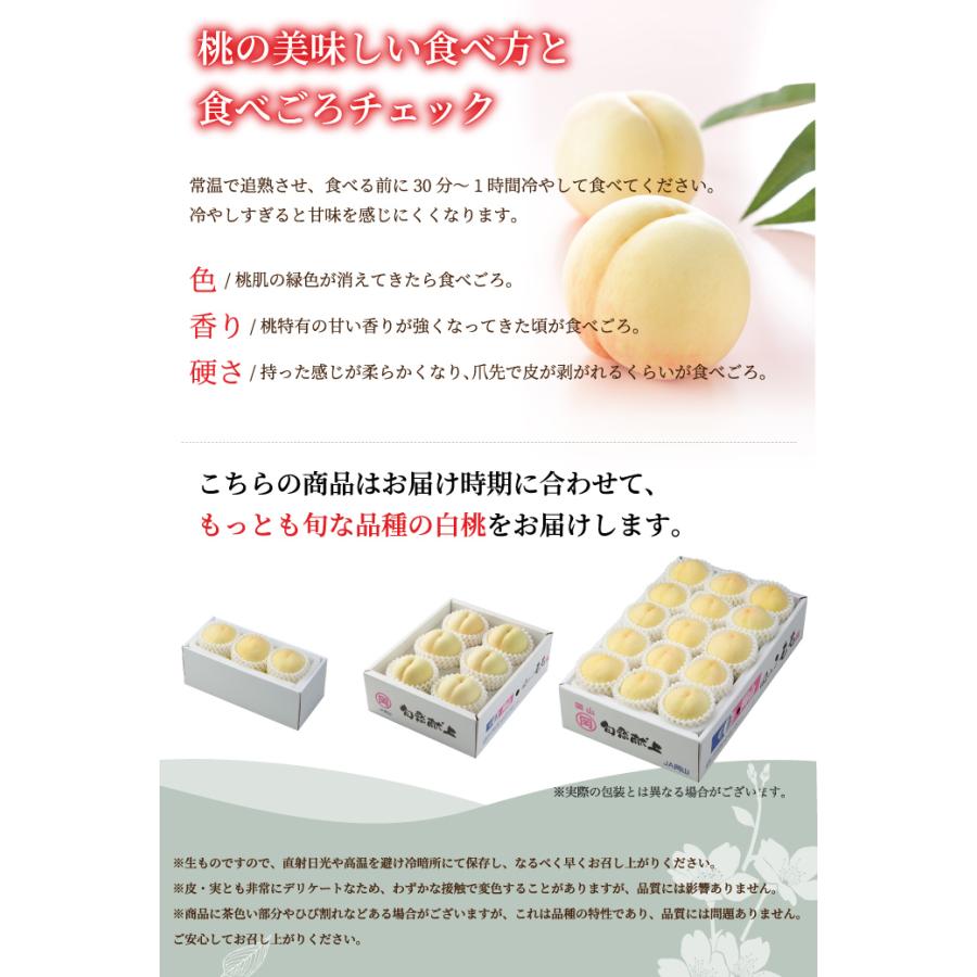 桃 岡山白桃 ロイヤル 3Lサイズ 300g×3玉 岡山県産 JAおかやま もも