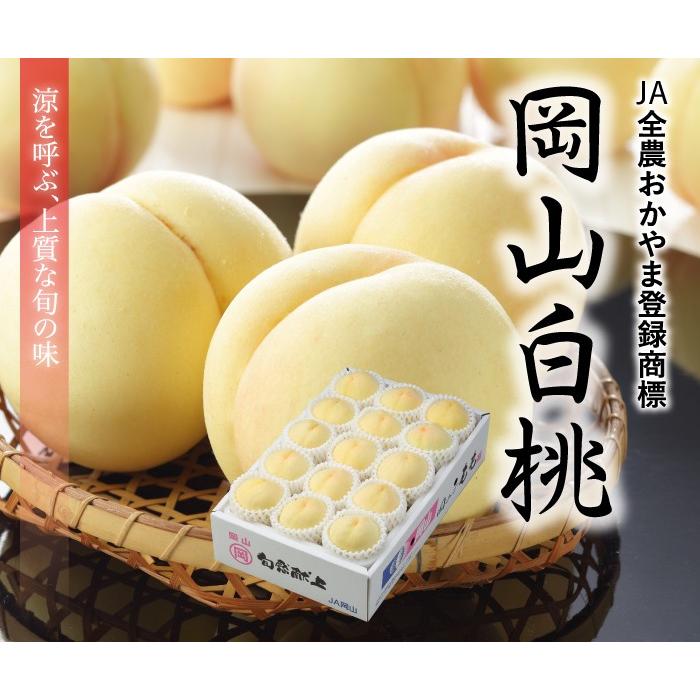 お中元 桃 岡山白桃 エース 4〜6玉 1kg 岡山県産 ＪＡおかやま もも モモ｜hachiya-fruits｜02