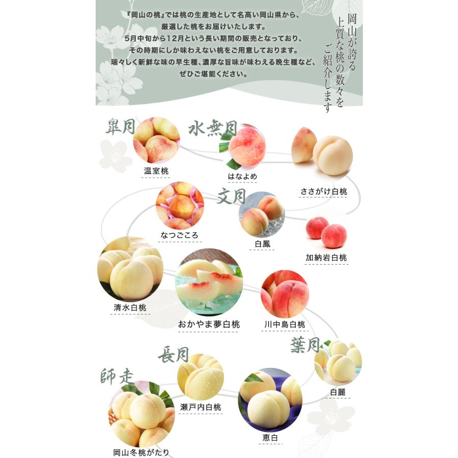 [訳あり]岡山県産 桃 はなよめ 6個入り✕2箱 楽天市場】【父の日】グルメ ギフト プレゼント 岡山白桃 はな