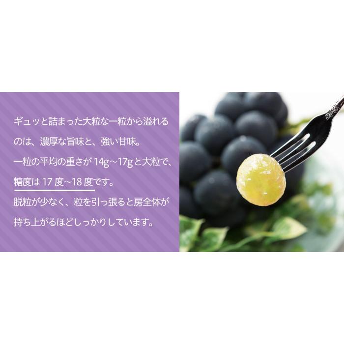 ぶどう オーロラブラック 風のいたずら ちょっと訳あり 3〜6房 2kg 岡山県産 ＪＡおかやま 葡萄 ブドウ