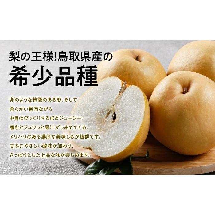 梨 王秋梨 おうしゅうなし 青秀 大玉 6〜12玉 5kg 鳥取県産 JAとっとり 梨 ナシ なし ギフト お歳暮 :osn002:はちやフルーツ -  通販 - Yahoo!ショッピング