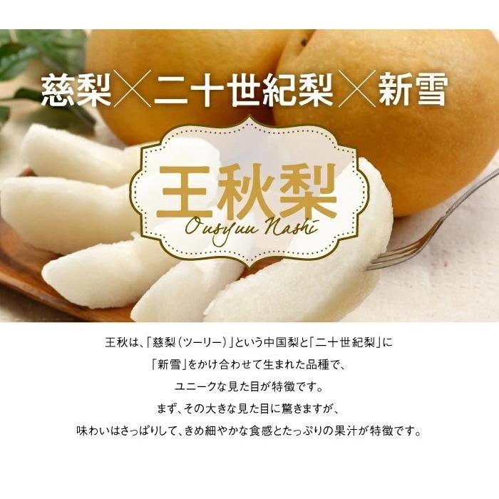 新春セール　梨　王秋　家庭用　20㎏ 梨 王秋梨 おうしゅうなし 〇等級 6〜12玉 5kg 鳥取県産 ナシ なし