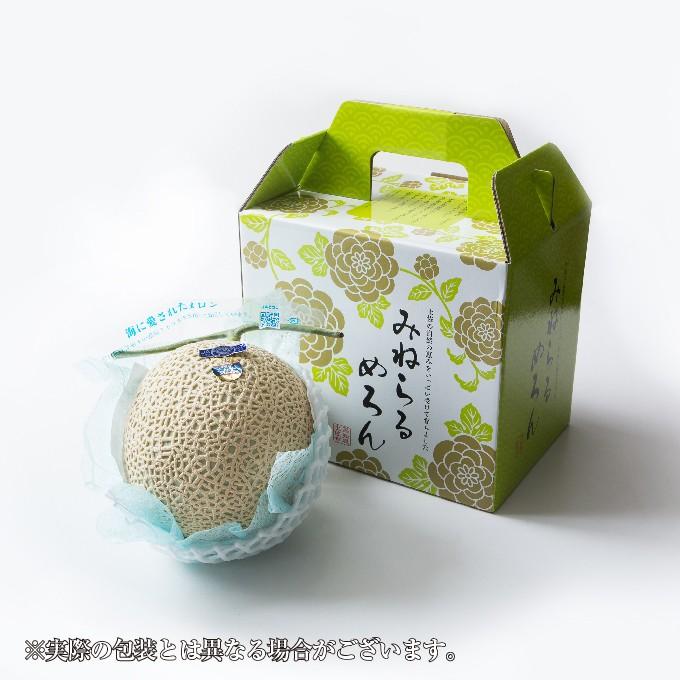 お中元 メロン プリンセスニーナ 秀品 1.2kg×1玉 アールスメロン 高知