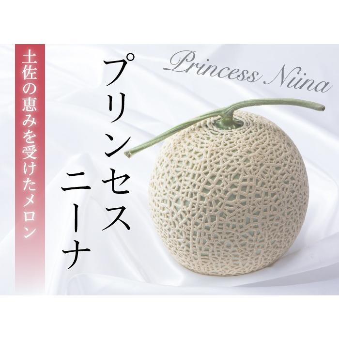 メロン プリンセスニーナ 秀品 1.2kg×1玉 アールスメロン 高知県産 JA