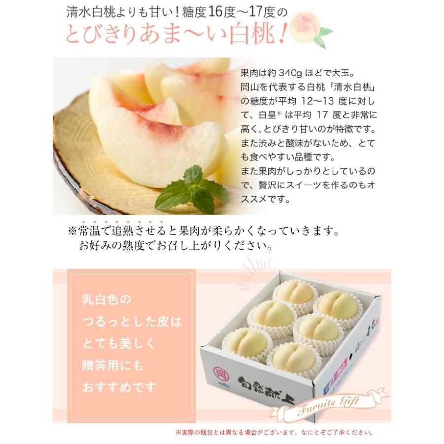 桃 白皇 はくおう 岡山白桃 ロイヤル 大玉 3玉 約900g 岡山県産 Jaおかやま 一宮中央選果場 送料無料 もも モモ Peh004 はちやフルーツ 通販 Yahoo ショッピング