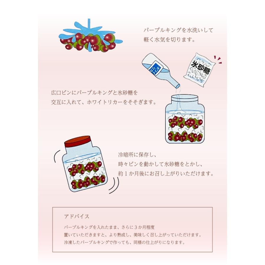 売れ筋ランキング 梅 パープルキング 秀品 3l Lサイズ 1kg 和歌山県産 ｊａ紀南 南高梅 パープル うめ Aynaelda Com