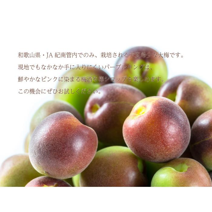 梅 パープルキング 秀品 3L〜Lサイズ 1kg  和歌山県産 ＪＡ紀南  南高梅 パープル うめ｜hachiya-fruits｜06