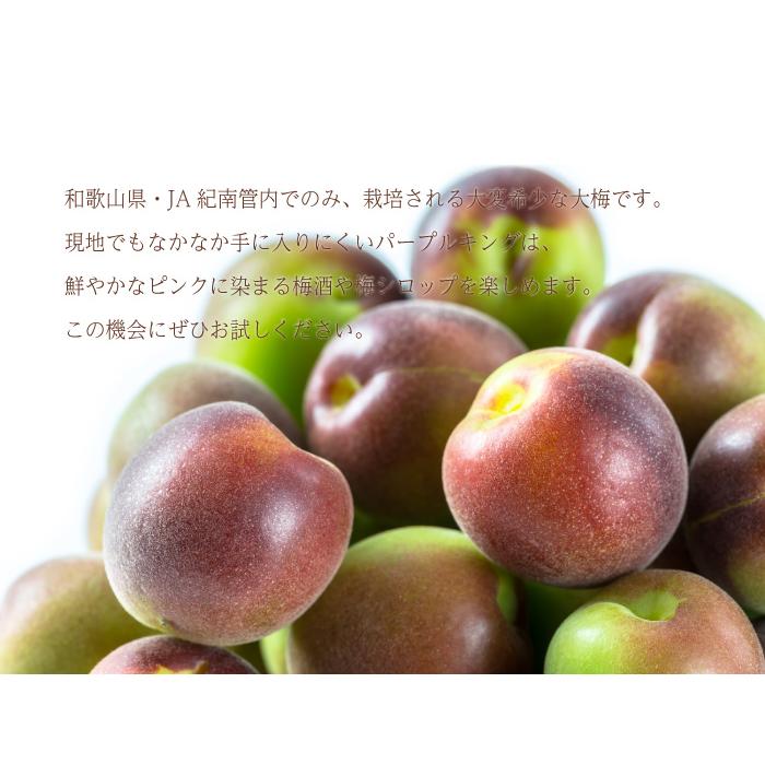 梅 パープルキング 風のいたずら 訳あり 大きさおまかせ 2kg 和歌山県