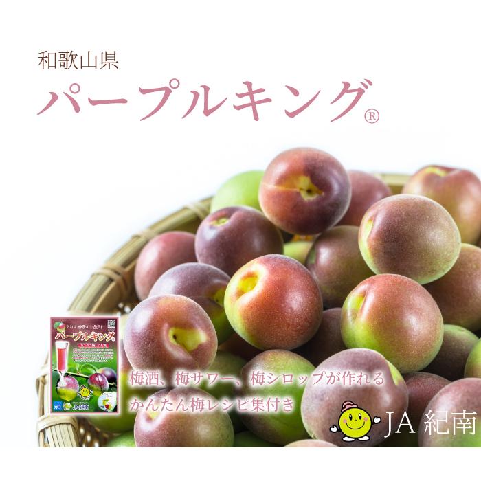 梅 パープルキング 秀品 4L〜Sサイズ 4kg 和歌山県産 JA紀南 南高梅