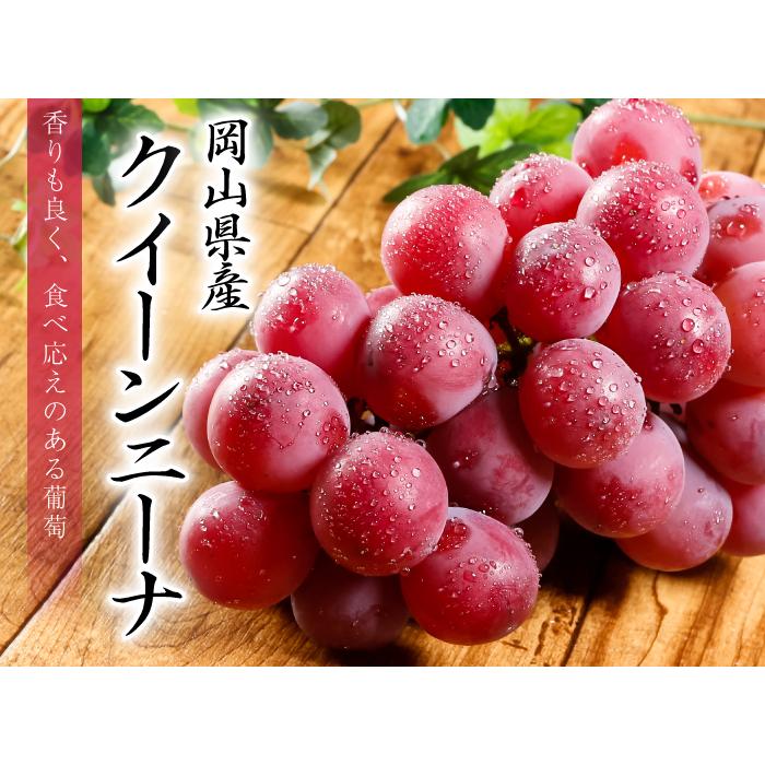 岡山県産クイーンニーナ 1房 - 果物