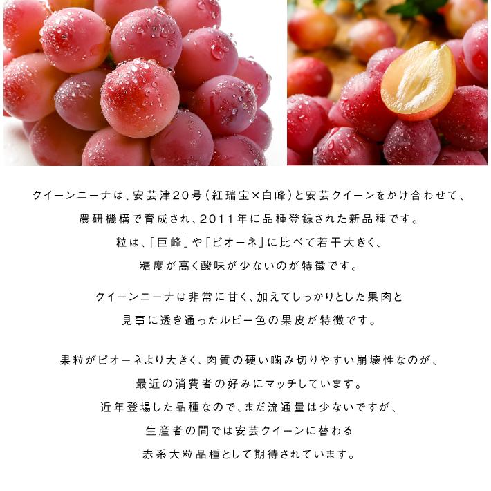 ぶどう クイーンニーナ 摘み落とし 赤秀 200g×6パック 岡山県産