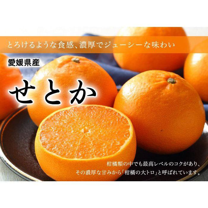 みかん せとか 〇等級 2L〜Mサイズ 1.5kg みきゃん箱入り 愛媛県