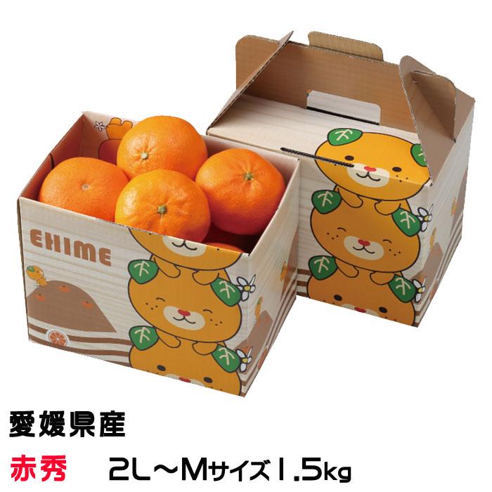 みかん せとか 赤秀 2L〜Mサイズ 6〜10玉 1.5kg みきゃん箱入り 愛媛県