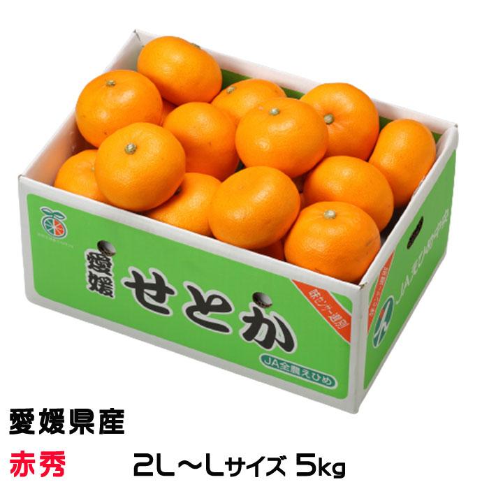 みかん せとか 赤秀 2L〜Lサイズ 5kg 愛媛県産 JAえひめ中央 みかん せとか 赤秀 2L〜Lサイズ 5kg 愛媛県産 JAえひめ中央