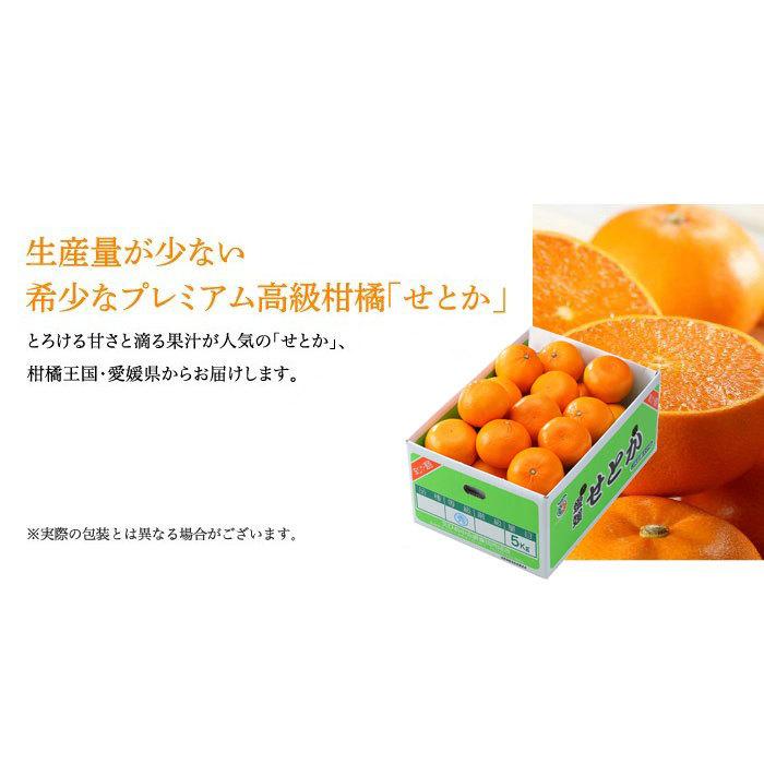 みかん せとか 赤秀 2L〜Lサイズ 5kg 愛媛県産 JAえひめ中央 みかん せとか 赤秀 2L〜Lサイズ 5kg 愛媛県産 JAえひめ中央