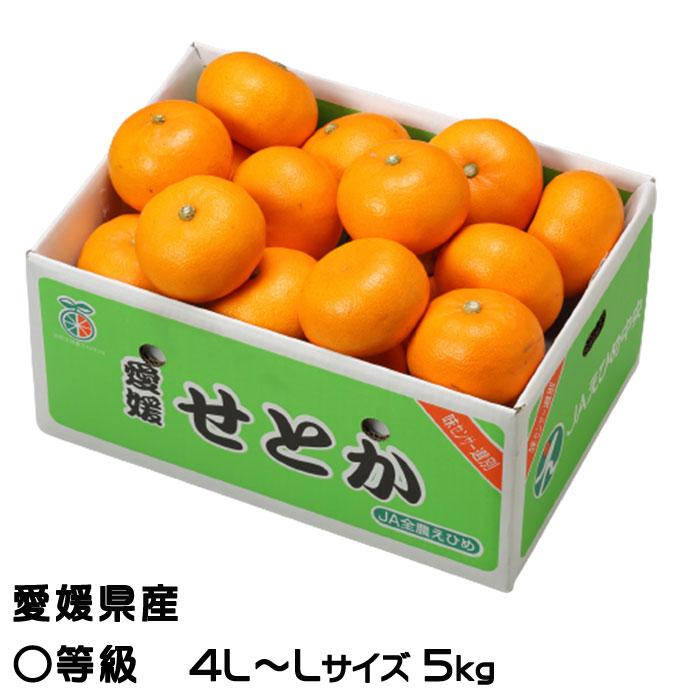 みかん せとか ◯等級 4L〜Lサイズ 5kg 愛媛県産 JAえひめ中央 みかん せとか ◯等級 4L〜Lサイズ 5kg 愛媛県産 JAえひめ中央