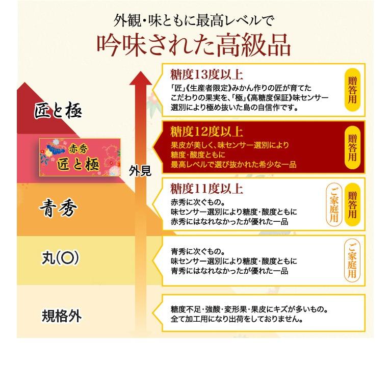 みかん せとか 赤秀 匠と極 4L〜Lサイズ 8〜15玉 3kg 愛媛県 中島産 ＪＡえひめ中央 ミカン 蜜柑 ギフト 贈り物｜hachiya-fruits｜08