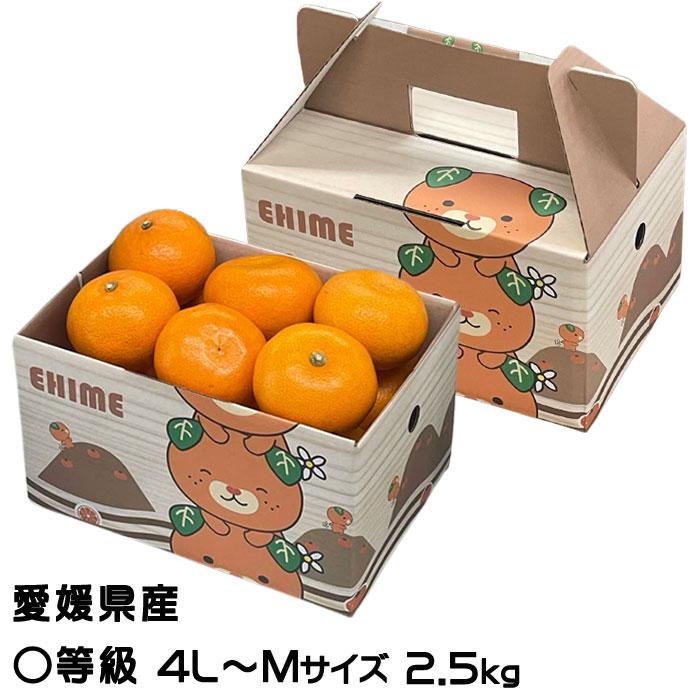 みかん せとか 〇等級 4L〜Mサイズ 2.5kg みきゃん箱入 お取り寄せ