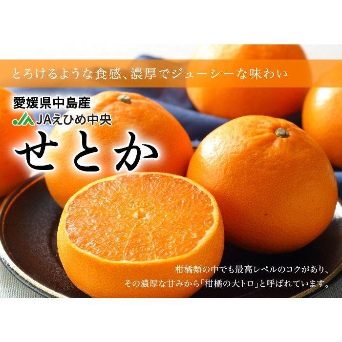 みかん せとか 〇等級 4L〜Mサイズ 2.5kg みきゃん箱入 お取り寄せ