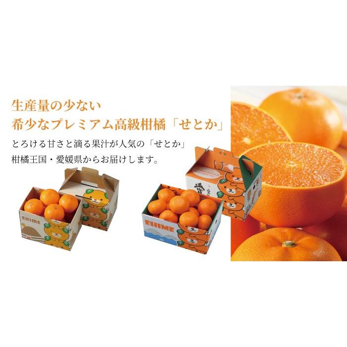 みかん せとか 〇等級 4L〜Mサイズ 2.5kg みきゃん箱入 お取り寄せ