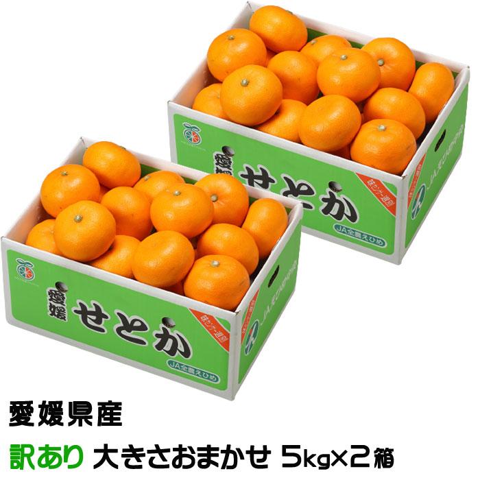みかん せとか 5kg×2箱 風のいたずら 訳あり 大きさおまかせ 愛媛県