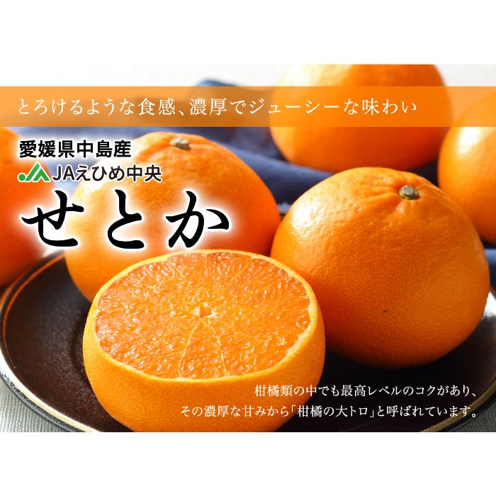 みかん せとか 5kg×2箱 青秀 4L〜Lサイズ 愛媛県産 JAえひめ中央