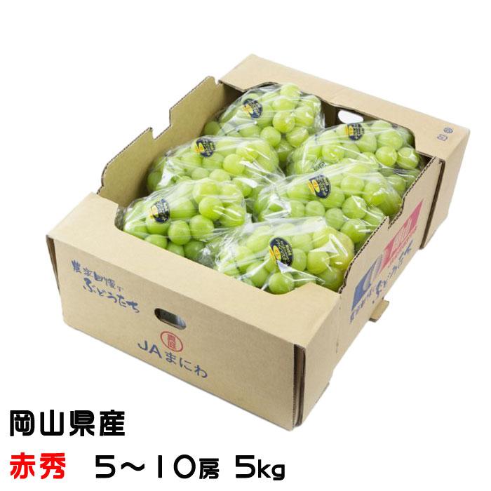 お歳暮 ぶどう シャインマスカット 晴王 赤秀 5〜10房 5kg 岡山県産  