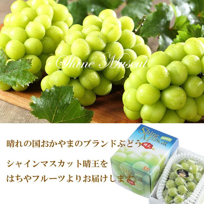 お中元 ぶどう シャインマスカット 晴王 赤秀 800g×1房 岡山県産 葡萄
