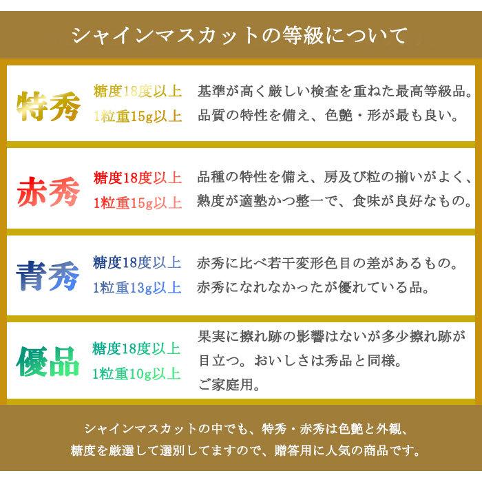 お中元 ぶどう シャインマスカット 晴王 風のいたずら ちょっと訳あり 5〜10房 5kg 岡山県産 葡萄 ブドウ ギフト お取り寄せ｜hachiya-fruits｜08