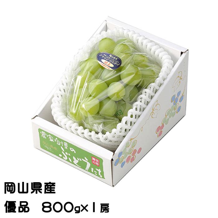 晴王シャインマスカット ぶどう シャインマスカット 晴王 優品 800g×1房 岡山県産 葡萄