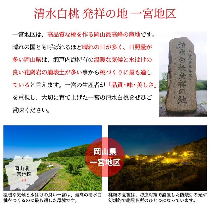 お中元 桃 清水白桃 ロイヤル 5〜10玉 1.8kg 一宮中央選果場 岡山県産