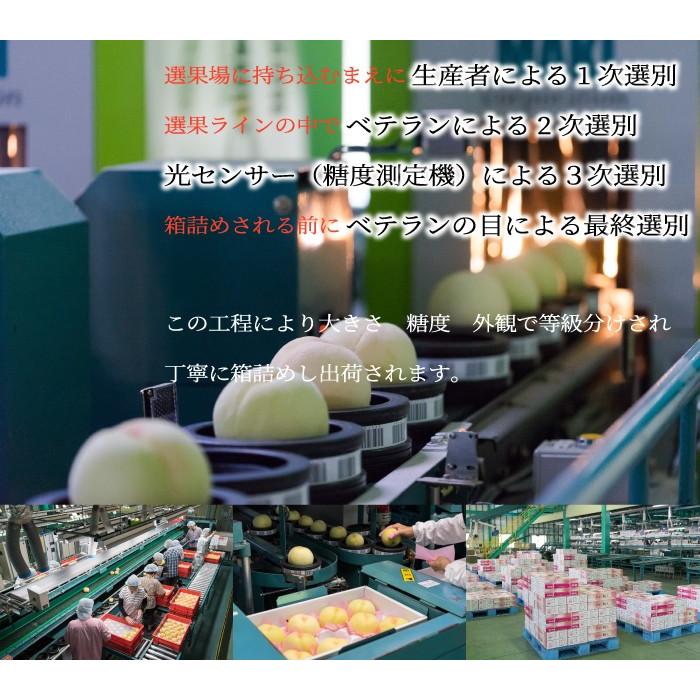 お中元 桃 清水白桃 ロイヤル 5〜10玉 1.8kg 一宮中央選果場 岡山県産