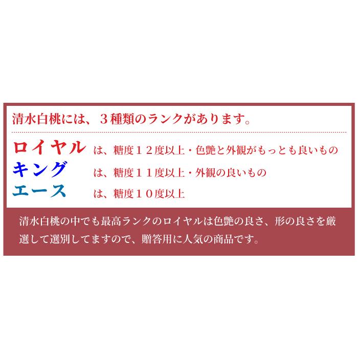 お中元 桃 清水白桃 キング 4〜6玉 １kg 一宮中央選果場 岡山県産 ＪＡおかやま 夏ギフト もも モモ｜hachiya-fruits｜07