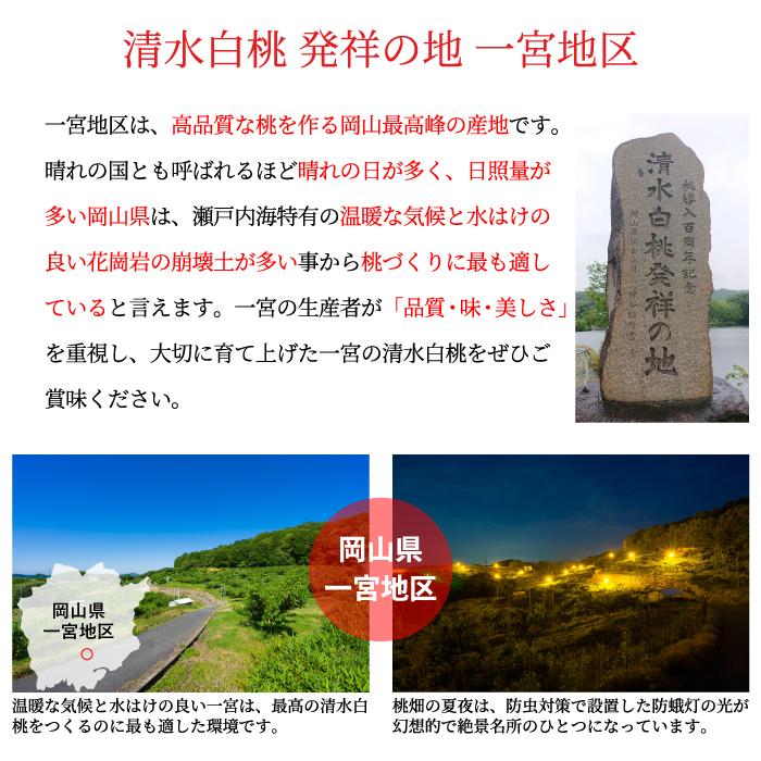 お中元 桃 清水白桃 ロイヤル 5〜10玉 2.4kg 一宮中央選果場 岡山県産