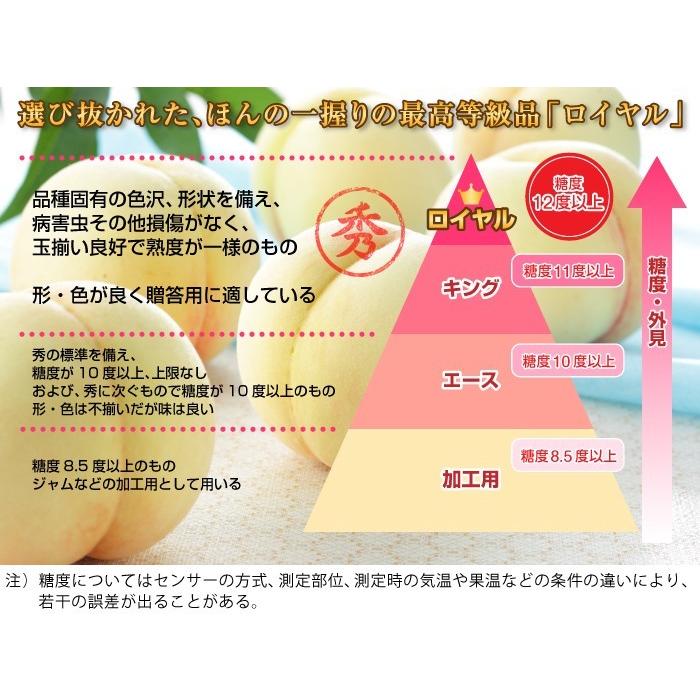 お中元 桃 清水白桃 ちょっと訳あり 8〜16玉 4.0kg 岡山県産 夏ギフト もも モモ はくとう 白桃_6