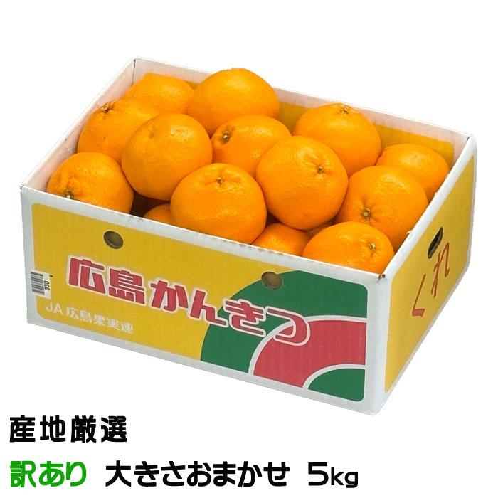 2026年3月】南柑20号のおすすめ人気ランキング - Yahoo!ショッピング
