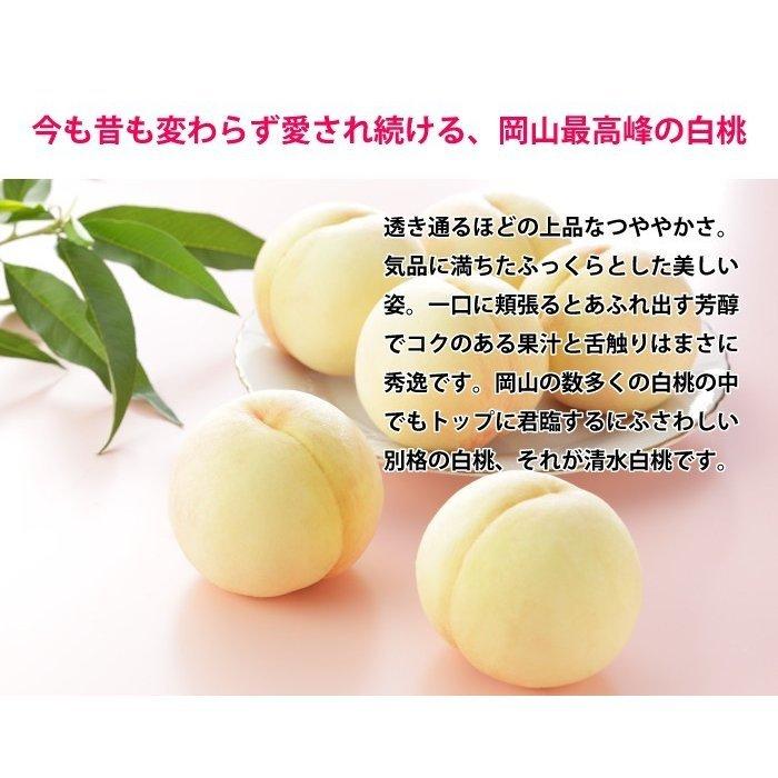 お中元 桃 清水白桃 エース 2Lサイズ 250g×3玉 岡山県産 ギフト
