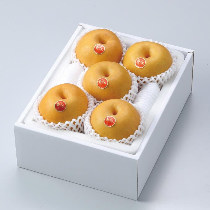 梨 新甘泉 しんかんせん 赤秀 5〜9玉 2kg 鳥取県産 なし ナシ