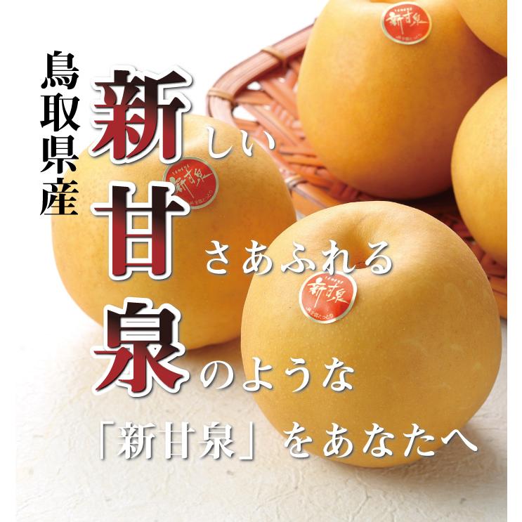 1ヶ月につかいました。ぜんぜん　新しいです。 梨 新甘泉 しんかんせん 赤秀 5〜9玉 2kg 鳥取県産 なし ナシ