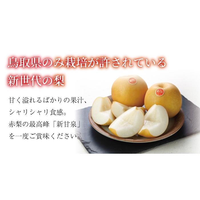 梨 新甘泉 しんかんせん 赤秀 7〜20玉 5kg 鳥取県産 なし ナシ